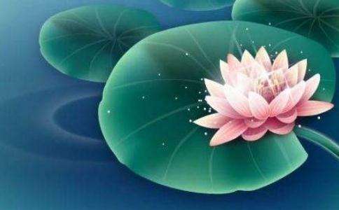 宏圓法師：文字般若的作用