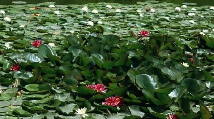 獨尊湛現：佛法，是改變命運的源泉