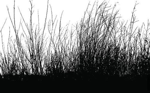 大安法師：慾望的越位導致了很多社會問題