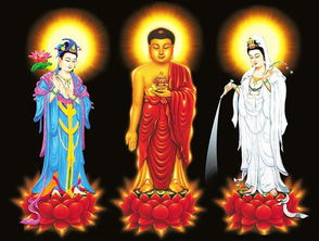 大安法師：如果犯五戒的話，懺悔可以得清凈嗎？