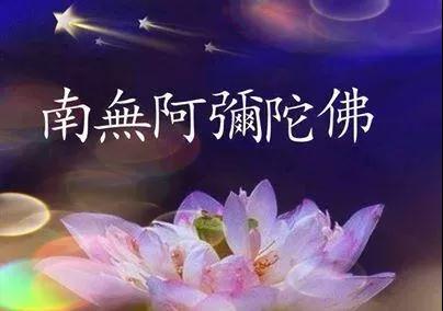 佛前供養一朵花的功德，你知道有多大嗎？