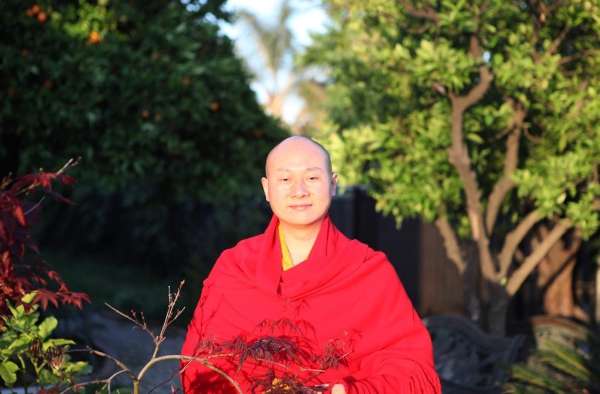 燒水、除草算不算殺生？