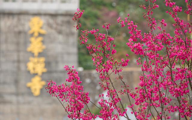 萬行大和尚：何為法門？何為道？它們之間有何區別?