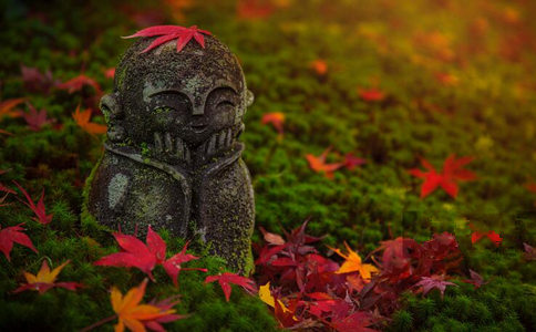 智隨法師：如何找回童心？學佛可以恢復單純