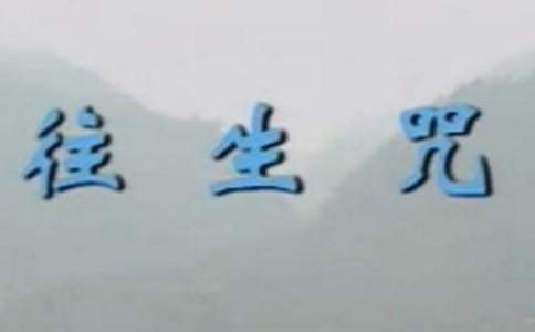 往生咒(拔一切業障根本得生凈土陀羅尼)