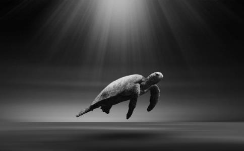 如瑞法師：我們都只是三界里的旅客