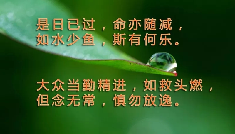 佛言：人有四種因緣，對其貪愛有輕有重，因此而偏離了解脫的正道