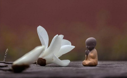 《金剛經》的中心思想是什麼？