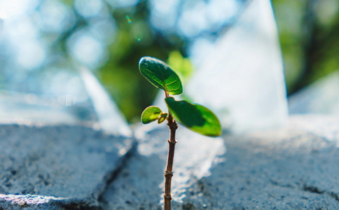傳正法師：執念，一切痛苦的根源