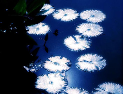 達真堪布：掃墓期間，佛弟子怎麼做才能利益亡者