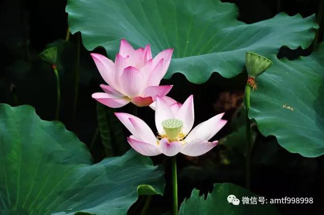 你給別人的一切，都會回到你身上