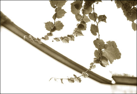 濟群法師：關鍵不在於免費還是收費