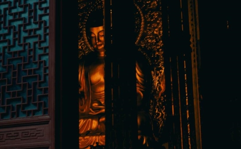 金剛經是法平等無有高下，法華經是諸經之王的理解