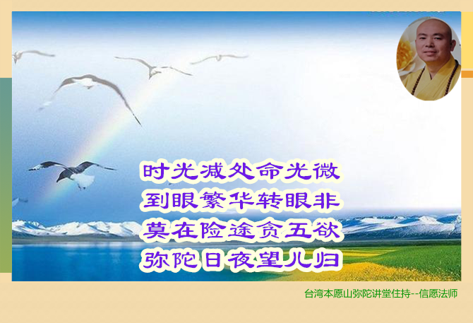 信願法師：念佛常生善道