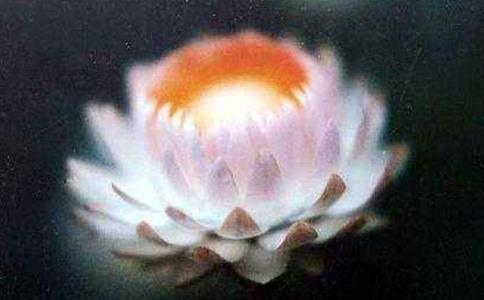 弘恩法師：用一種淡然的心境去學佛