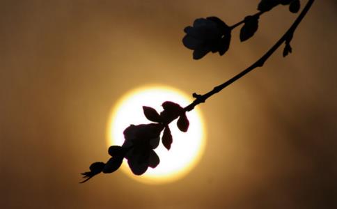 佛說「我」本來就是空 無人能傷害