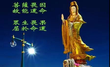 凈土法門法師：因果定律，誰都逃避不了。不是不報，時候未到