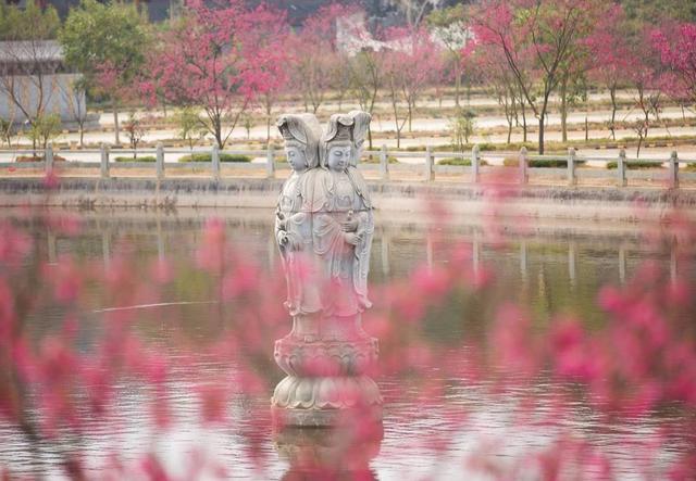 萬行大和尚：人生成長的三個階段