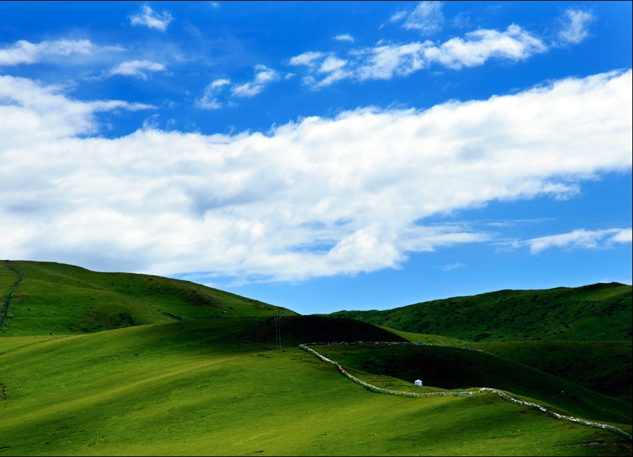 達真堪布：怎樣看待社會上的惡性事件？