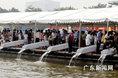 放生遇到的常見問題答問