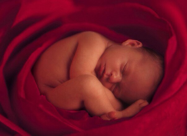 宣化上人：小鬼難纏，勸大家不要再墮胎（有墮胎圖，慎入）