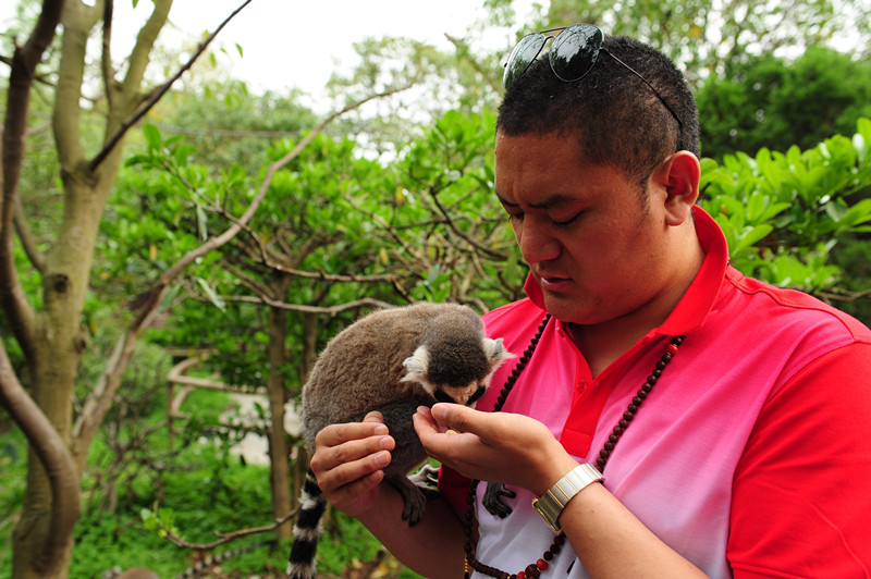 呷絨多吉上師：開示連載(106)下一世有沒有希望再得一個人身？