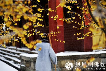 靜波法師：如果想長壽首先你要有這種心態