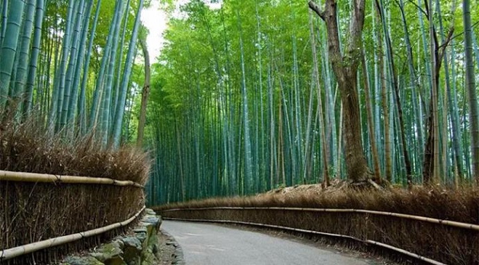 獨尊湛現：修行要以凈心為主題，不要形式化