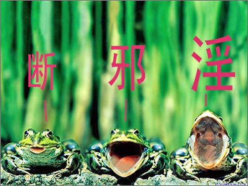 「TXL」產生的原因、果報、解決辦法