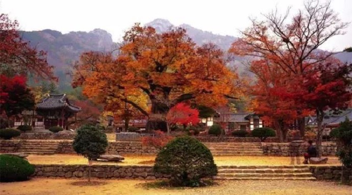 獨尊湛現：智者的人生與凡夫的人生，截然不同