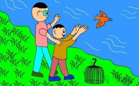 放生之前弄清楚7個關鍵問題