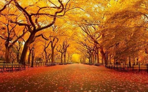 「色」字頭上一把刀，怎麼做才能戒除邪淫？