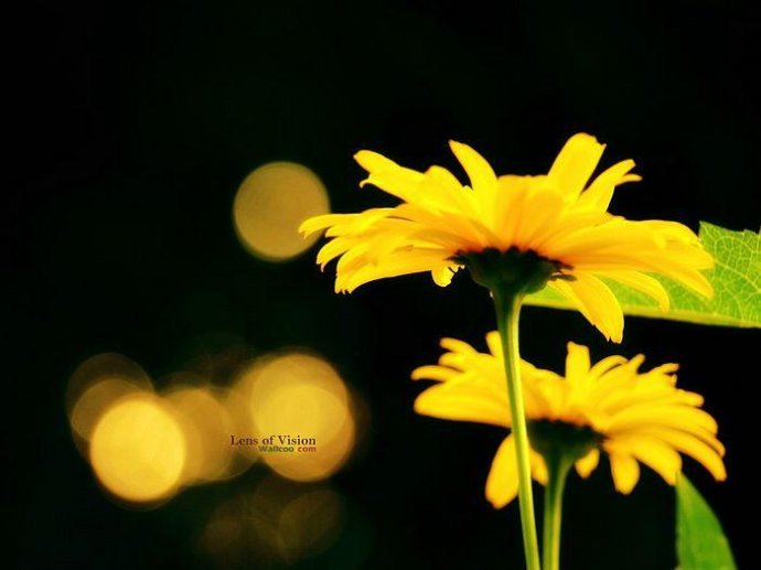 禪師與士兵之奇緣