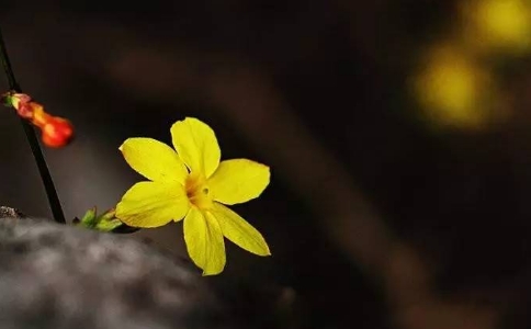 邪淫的危害有哪些？怎麼戒？有什麼感悟？