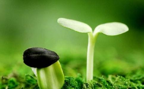 待因緣成熟，自然不起煩惱