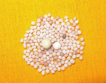 佛舍利是什麼？