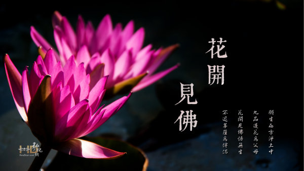 覺明妙行菩薩往昔念佛七日即身成就的事跡及其念佛精要開示