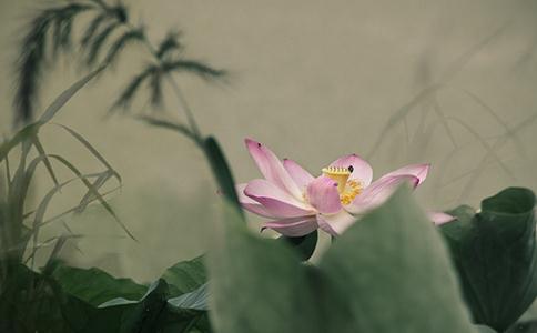 佛教所說的【自在】是指什麼?佛教自在的意思