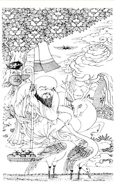 六長壽象徵什麼？