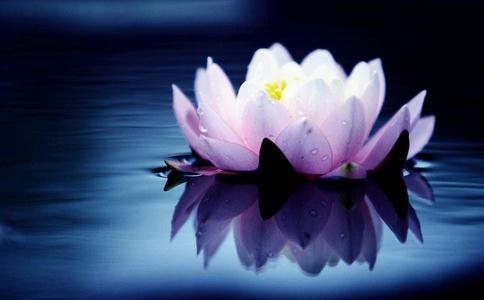 不可不知！學佛應具備的三點