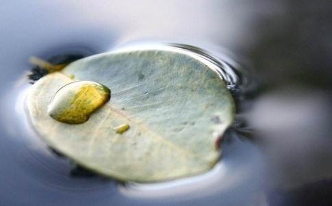 思維活動出現的兩種狀態：智慧與妄念