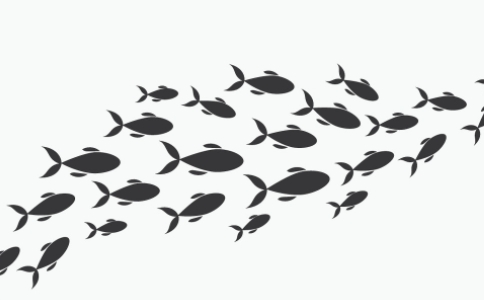 放生是為父母慶祝生日的最佳方式