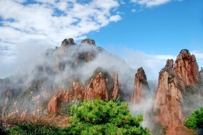 福光王子出家—佛陀本生故事