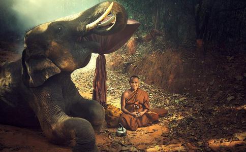 聖嚴法師：每日打坐之道