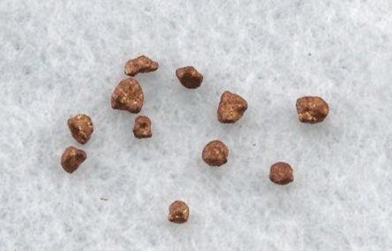 無骨舍利指的是什麼?為什麼說孫悟空會是無骨舍利