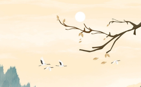 野鴨子飛過去了