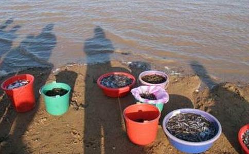 放生請用一顆簡單的心