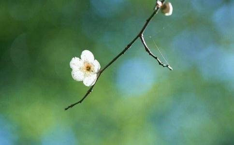 感覺婚姻走到頭了，該怎麼辦？