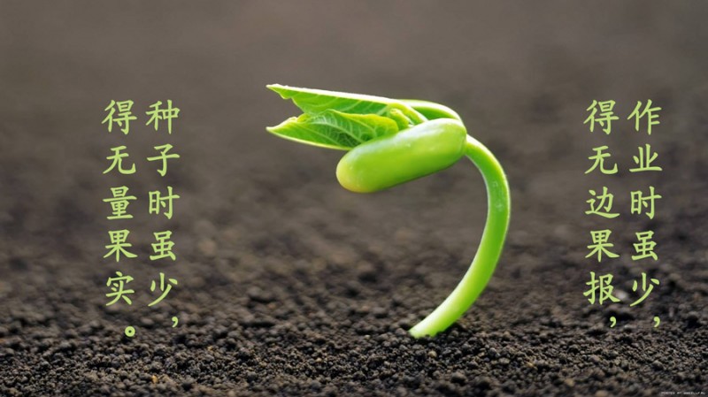 布施教訓：下人代國王布施，福報竟然比國王還大！