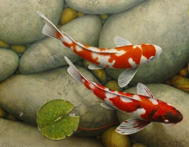 放生影響他人，解救自我